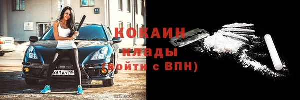крисы Алексин