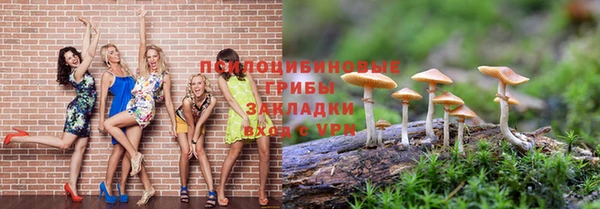 крисы Алексин